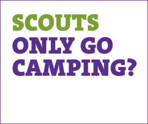 Scout logo